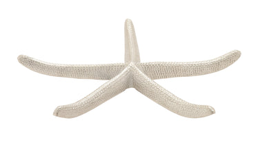 Vibrant Aluminium Nickel Star Fish