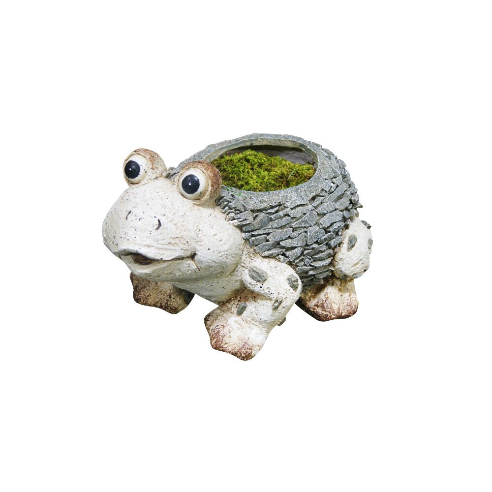 11 Inch Frog Planter