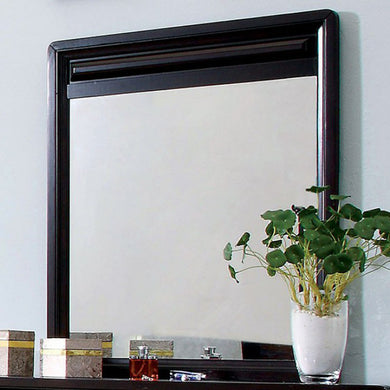 Yorkville Transitional Mirror, Espresso