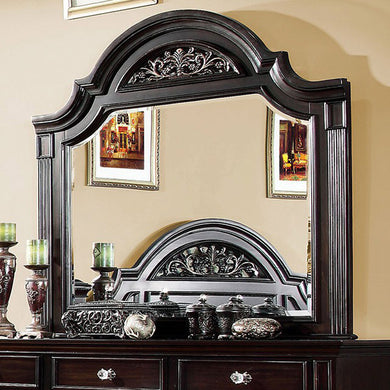 Syracuse Transitional Style Mirror , Dark Walnut