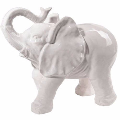 Trumpeting Elephant Accent