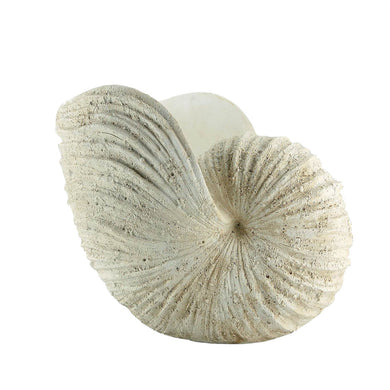 Well-Designed Polyresin Nautilus Shell Decor Object, White
