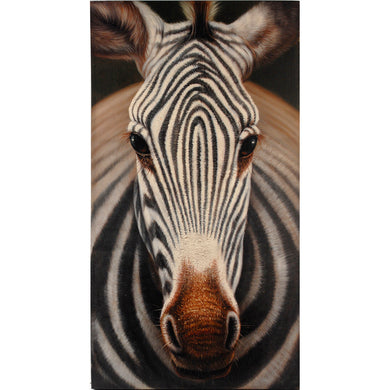 Amazingly Designed Zebra Print Portrait, Multicolor