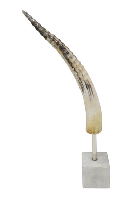 Well- Designed Horn On Stand, Multicolor