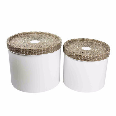 Voguish Set Of Two Metal Storage Canisters, Brown And White