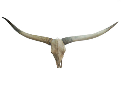 Vintage Look Polyresin Bull Wall Decor, Multicolor