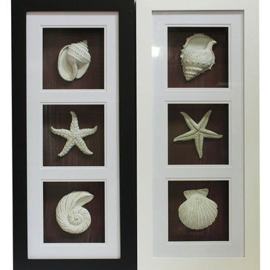Trendy Mdf Seashell Shadow Box - 2 Assorted