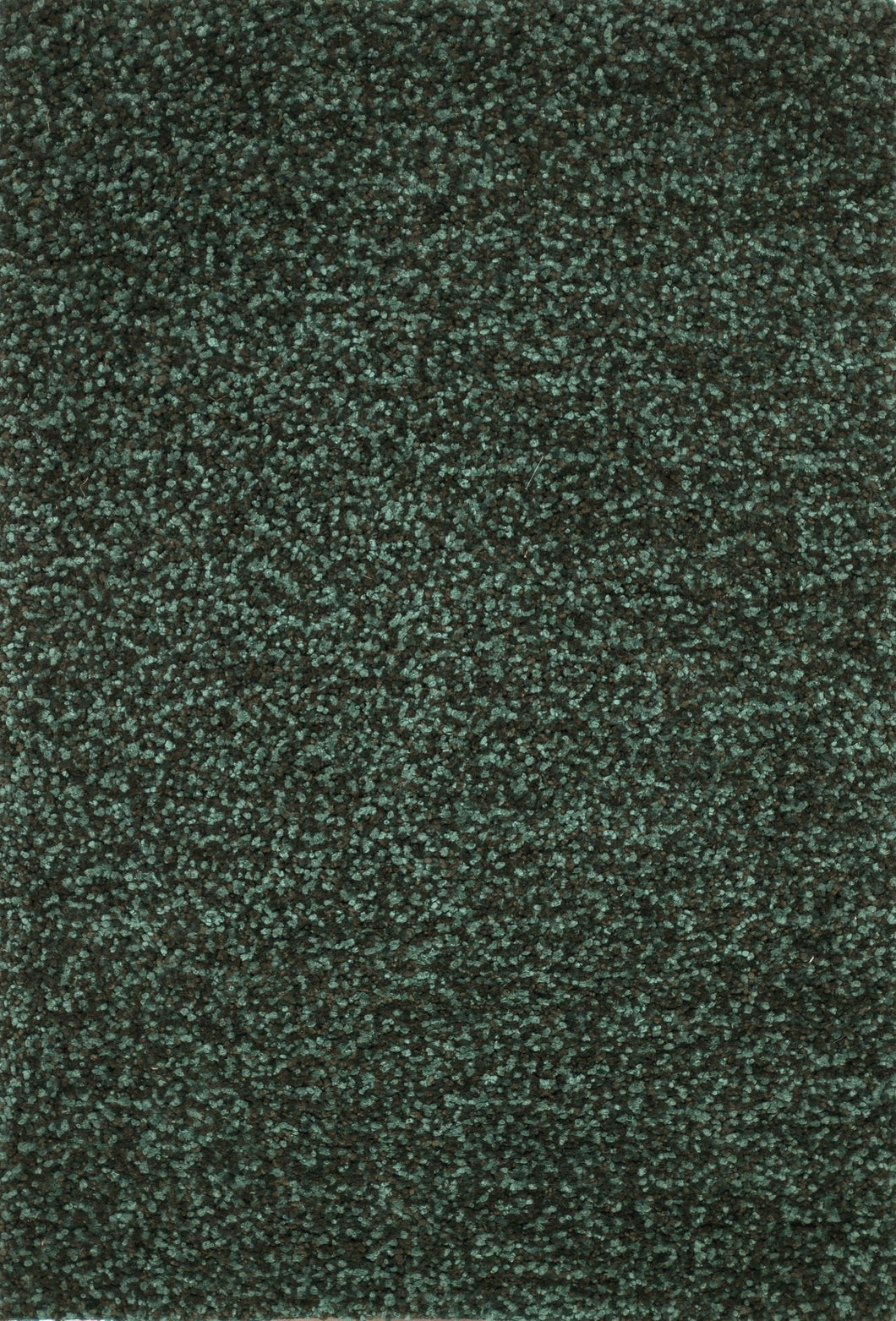 OLINOL-01EM0093D0