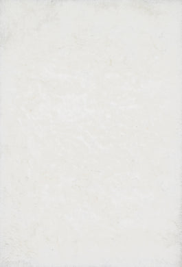 ORIAOR-01WH002339