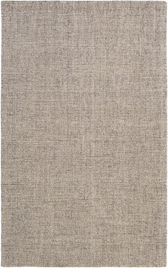 Aiden 2' x 3' Area Rug