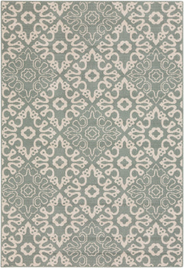 Alfresco 6' x 9' Area Rug
