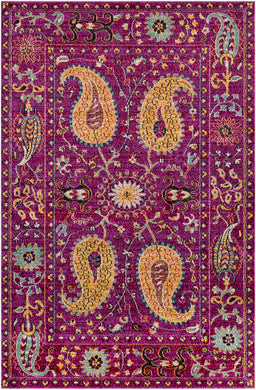 Anika 2' x 3' Area Rug
